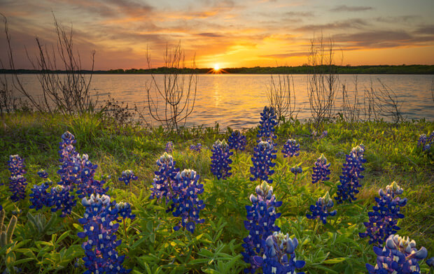 A beautiful photograph of the Waxahachie lake during early morning