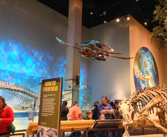 Perot Museum of Nature and Science