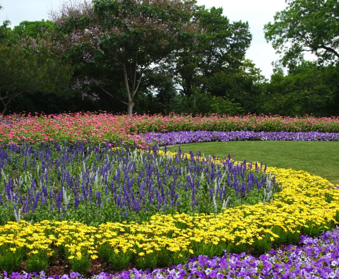 Dallas Arboretum & Botanical Gardens