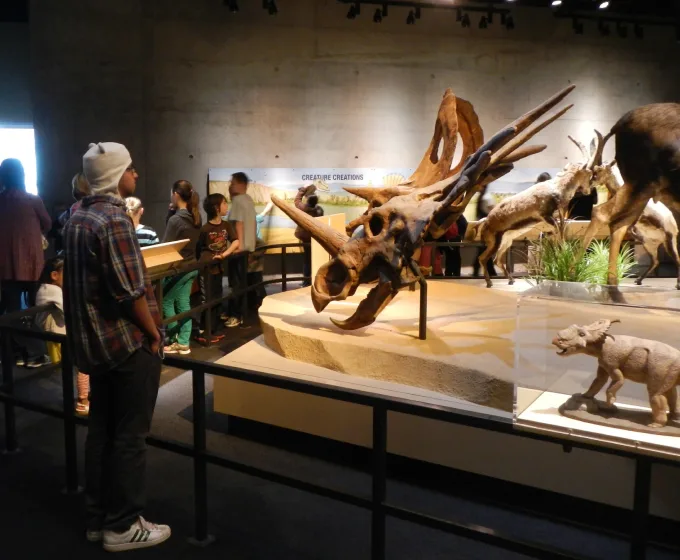 Perot Museum of Nature and Science